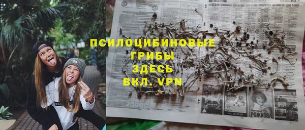 стафф Абдулино